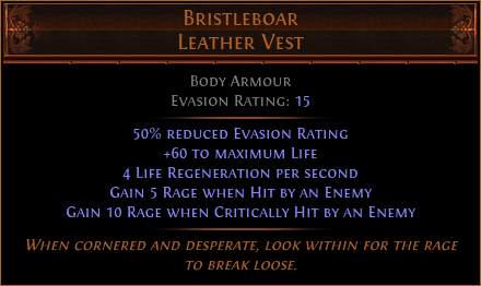 Bristleboar Leather Vest