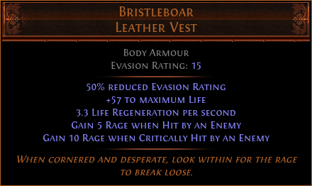 Bristleboar Leather Vest